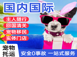 凤凰空运代理国际宠物托运 【国